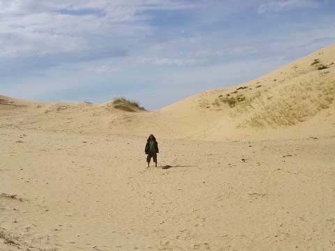 Песчаные барханы пустыни Гоби.