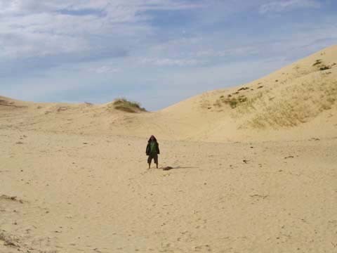 Песчаные барханы пустыни Гоби. Песчаные барханы пустыни Гоби.