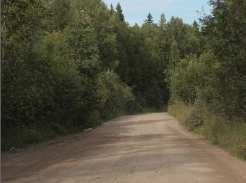 По обильно насыпанной на дорогу круглой гальке машина срывалась в неуправляемое скольжение. По обильно насыпанной на дорогу круглой гальке машина срывалась в неуправляемое скольжение.